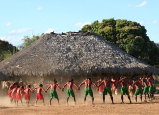 Desvendando um mito histórico: os indígenas das Américas eram primitivos? Eles conheciam a roda?